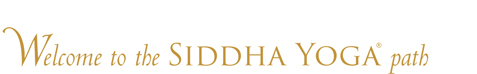 Site Logo; Navigate Home